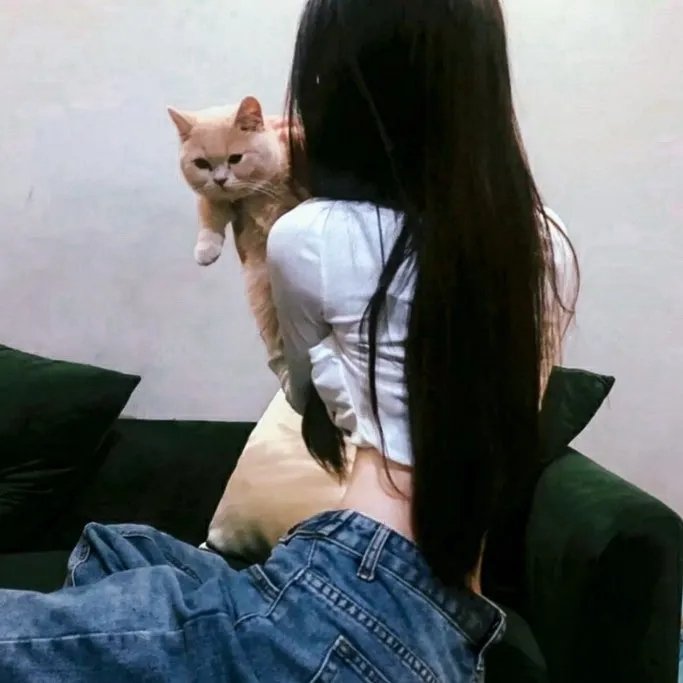 电影之爱：美国电影批评史